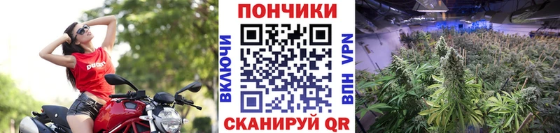 Каннабис Ganja Жигулёвск
